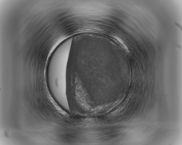 X0000096470796200802141657