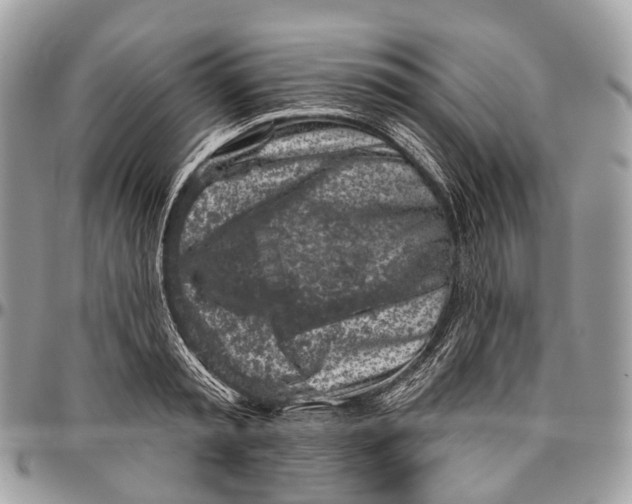 X0000096470797200802141657