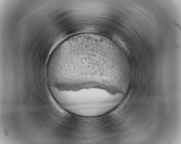 X0000096470800200802141656