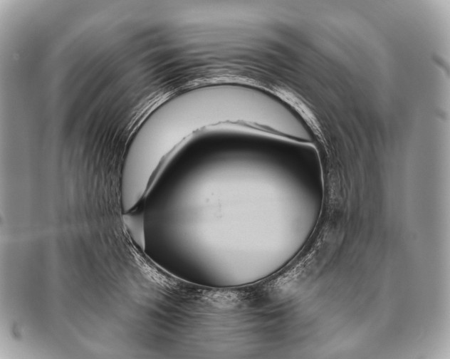 X0000096470801200802141656