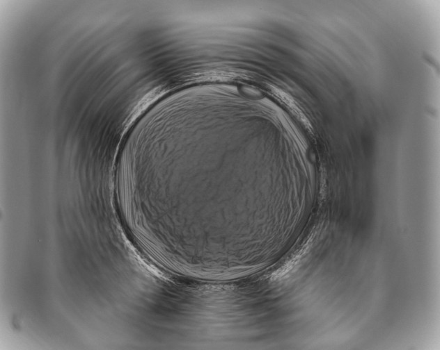 X0000096470802200802141656