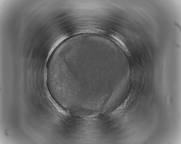 X0000096470804200802141656