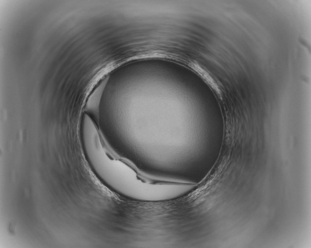 X0000096470805200802141656