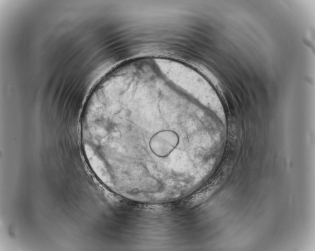 X0000096470807200802141656