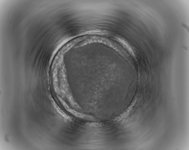 X0000096470808200802141656