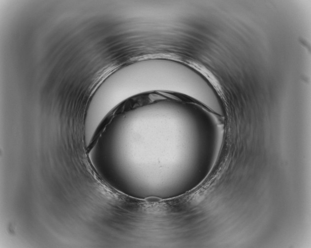 X0000096470809200802141656