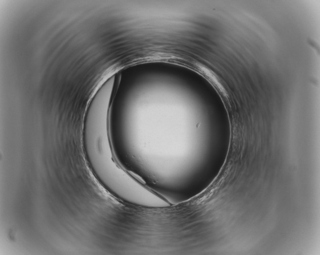 X0000096470810200802141656