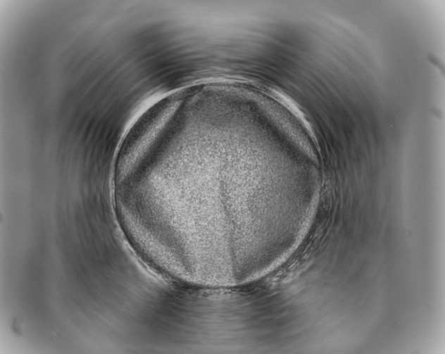 X0000096470811200802141656