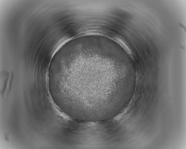 X0000096470814200802141656