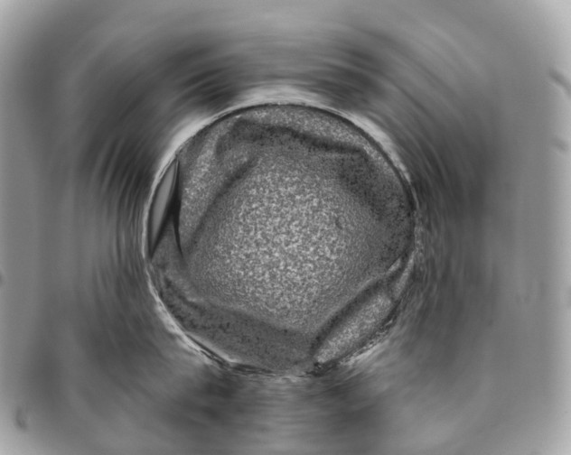 X0000096470815200802141656