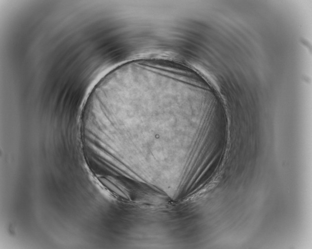 X0000096470816200802141656