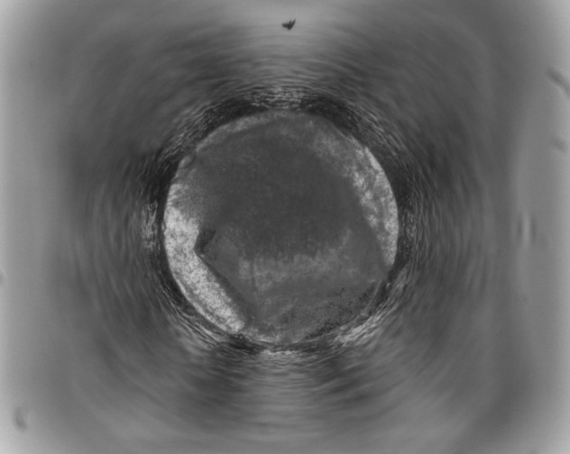 X0000096470818200802141656