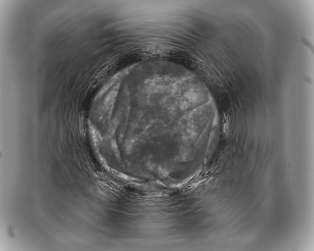 X0000096470819200802141656