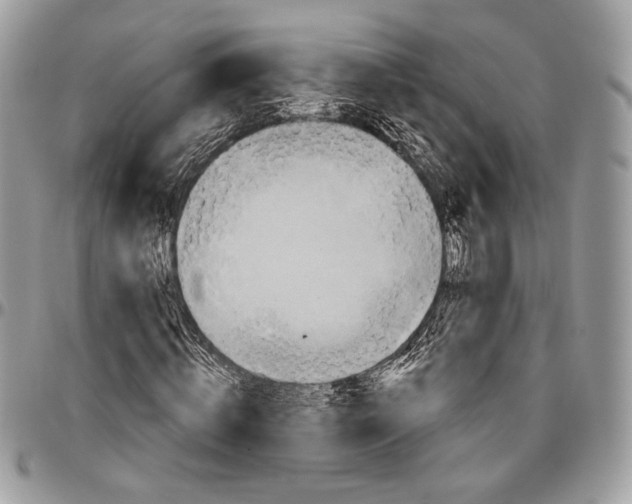 X0000096470820200802141656