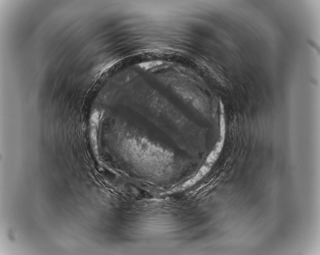 X0000096470822200802141656