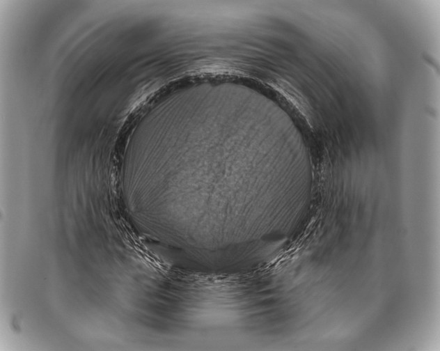 X0000096470823200802141656