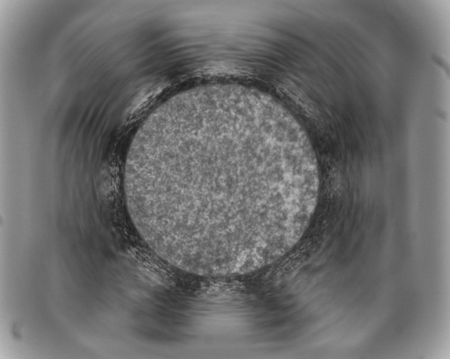 X0000096470824200802141656