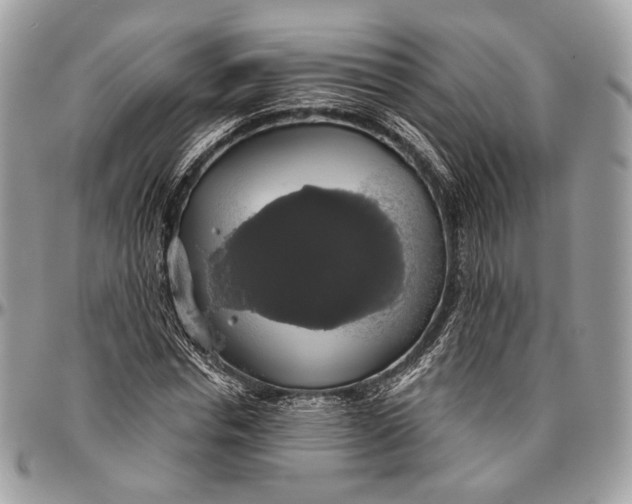 X0000096470826200802141656