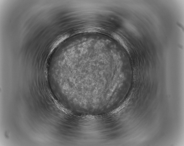 X0000096470827200802141656