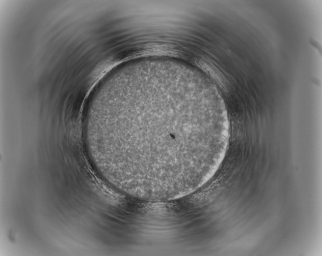 X0000096470828200802141656