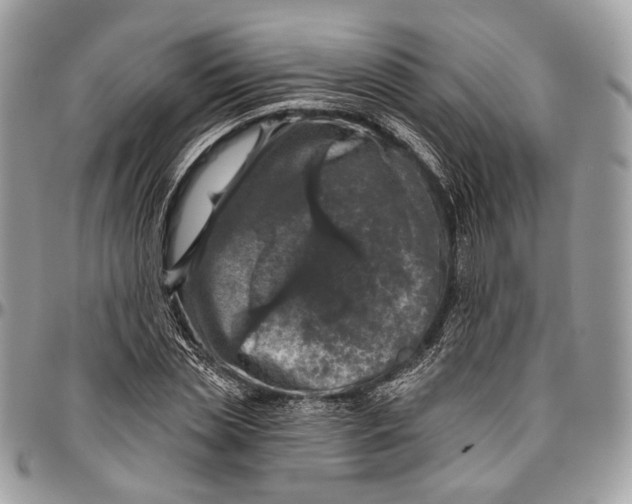 X0000096470829200802141656