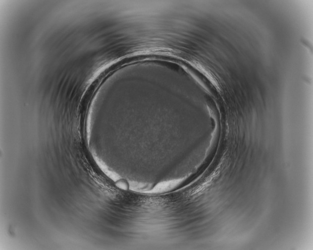 X0000096470830200802141656