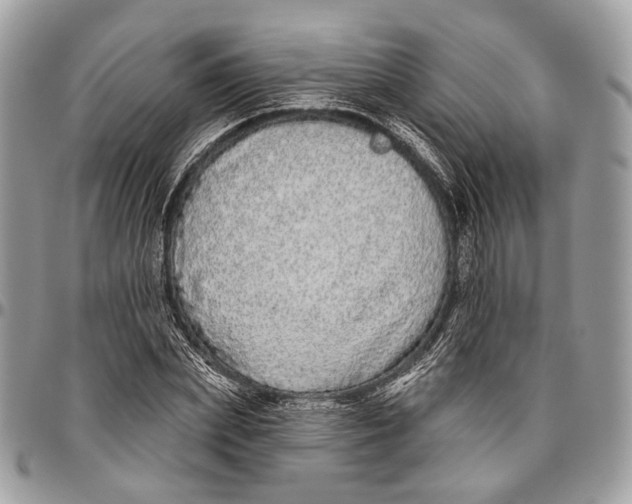 X0000096470831200802141656