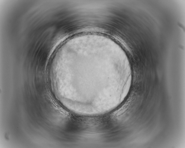 X0000096470832200802141656