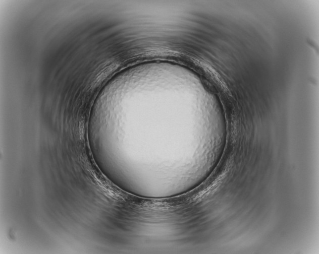 X0000096470833200802141656