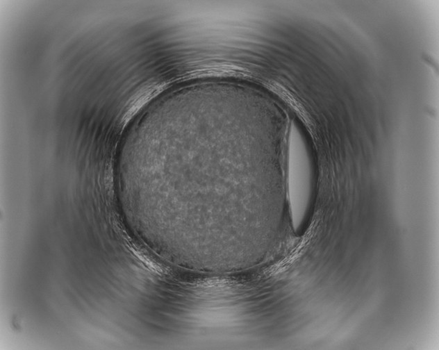 X0000096470834200802141656