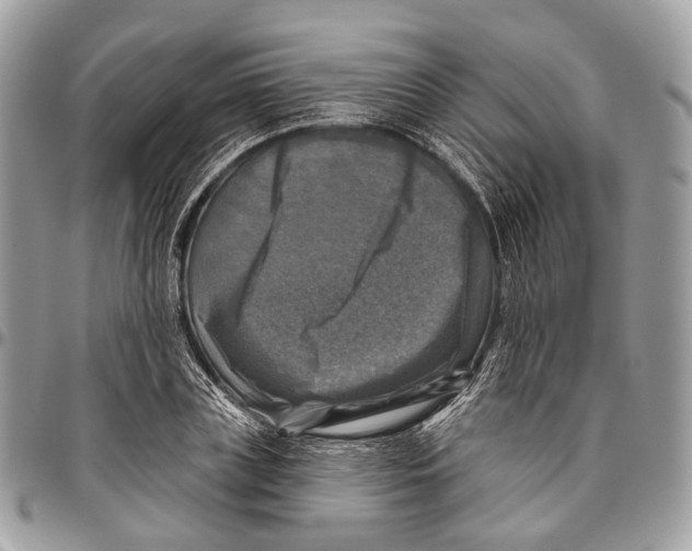 X0000096470835200802141656