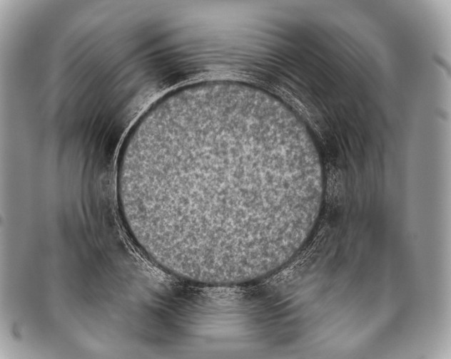 X0000096470836200802141656