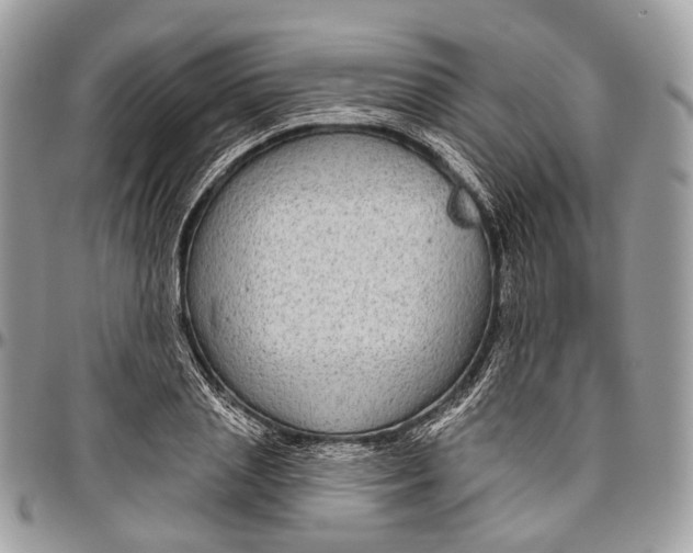 X0000096470837200802141656