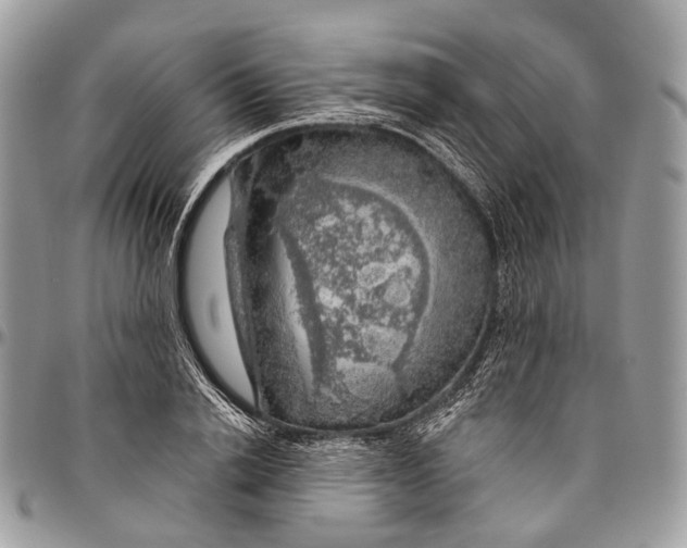 X0000096470838200802141656