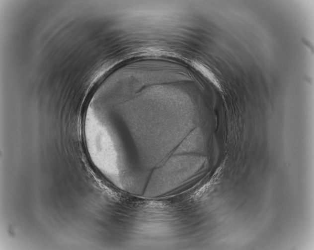 X0000096470839200802141656