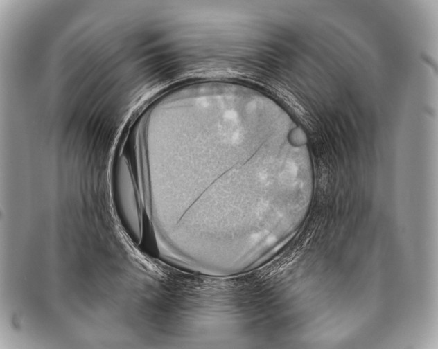 X0000096470840200802141656