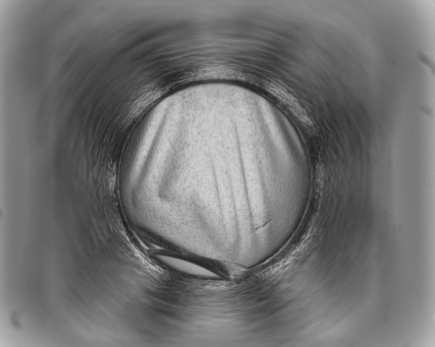 X0000096470841200802141656