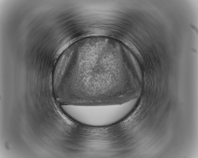 X0000096470842200802141656