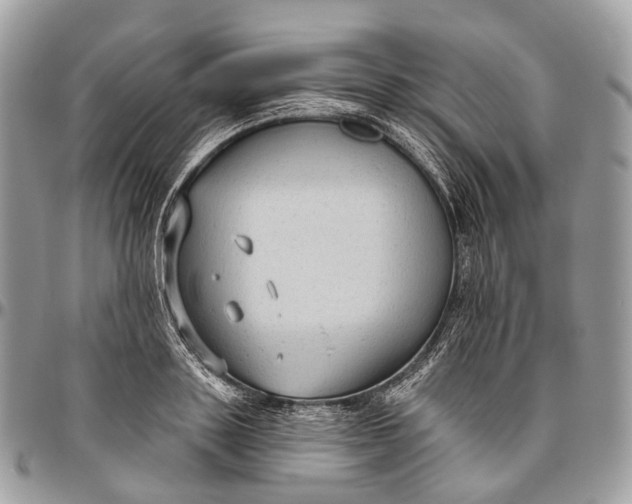 X0000096470843200802141656