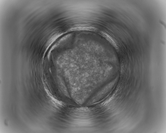 X0000096470844200802141656