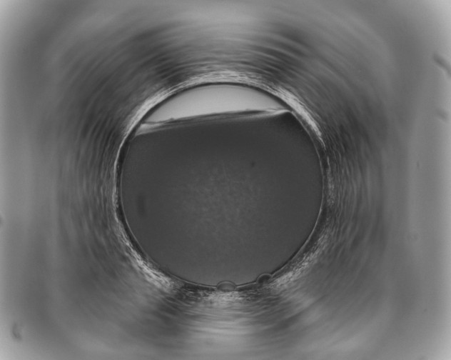 X0000096470845200802141656