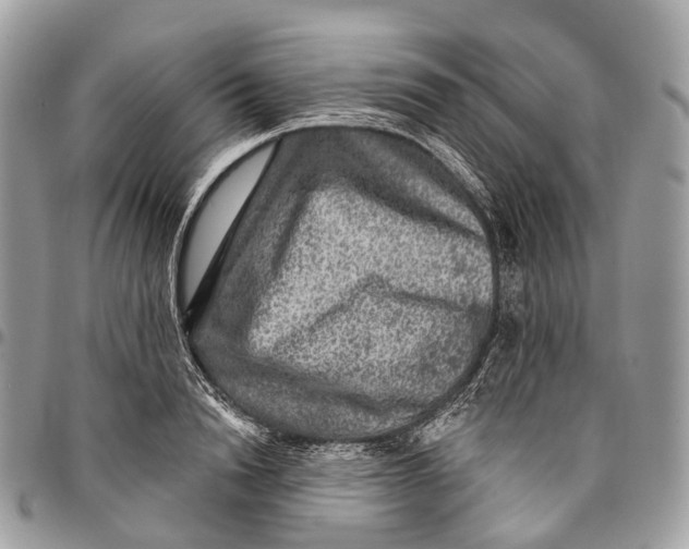 X0000096470846200802141656