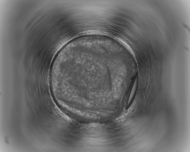 X0000096470847200802141656