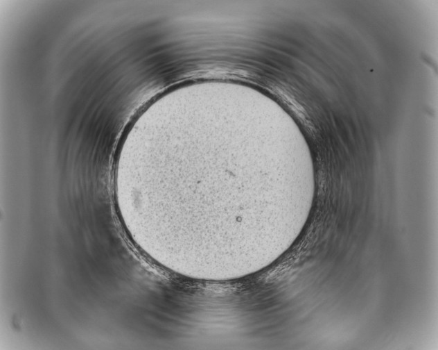 X0000096470848200802141656