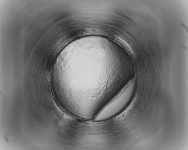 X0000096470849200802141656