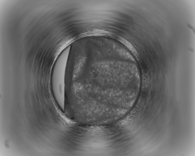 X0000096470850200802141656