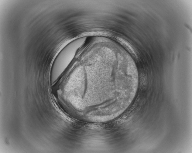 X0000096470852200802141656