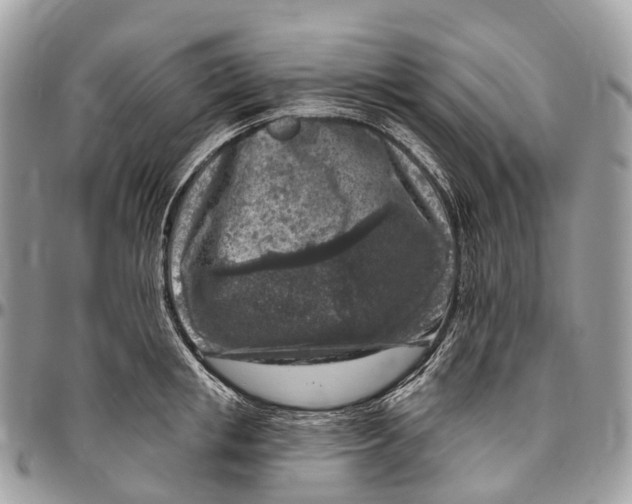 X0000096470853200802141656