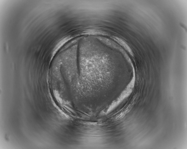 X0000096470855200802141656