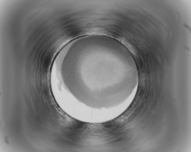 X0000096470856200802141656